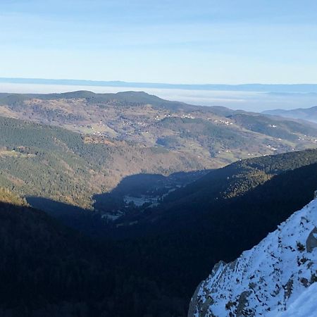 Duplex - Proche De Gerardmer ル・トリー エクステリア 写真