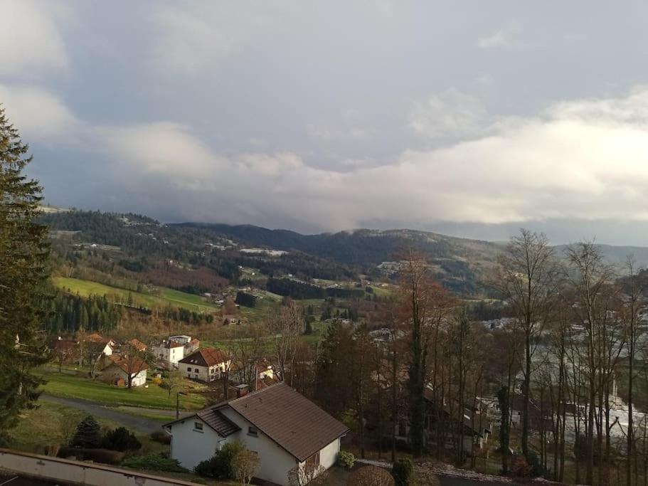 Duplex - Proche De Gerardmer ル・トリー エクステリア 写真