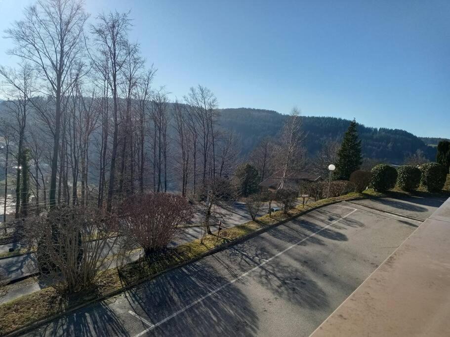Duplex - Proche De Gerardmer ル・トリー エクステリア 写真