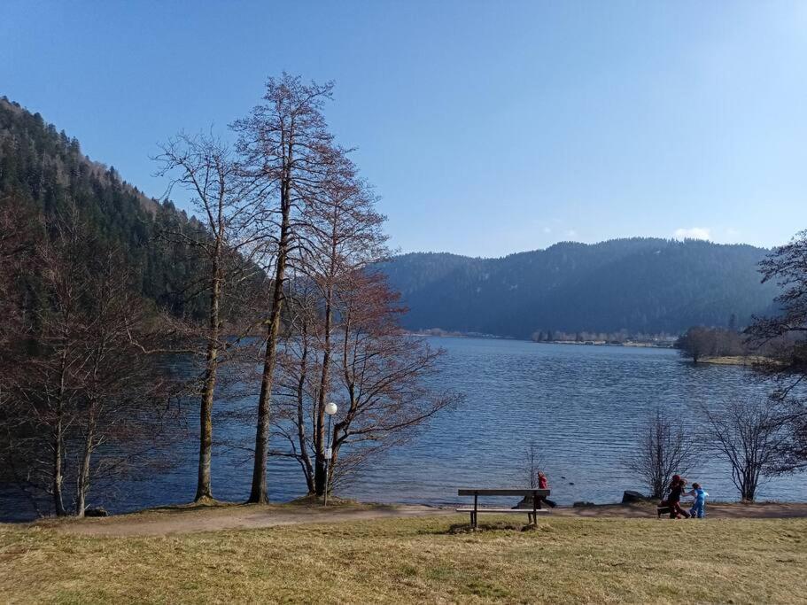 Duplex - Proche De Gerardmer ル・トリー エクステリア 写真