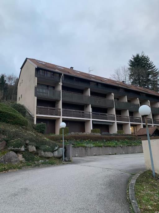 Duplex - Proche De Gerardmer ル・トリー エクステリア 写真