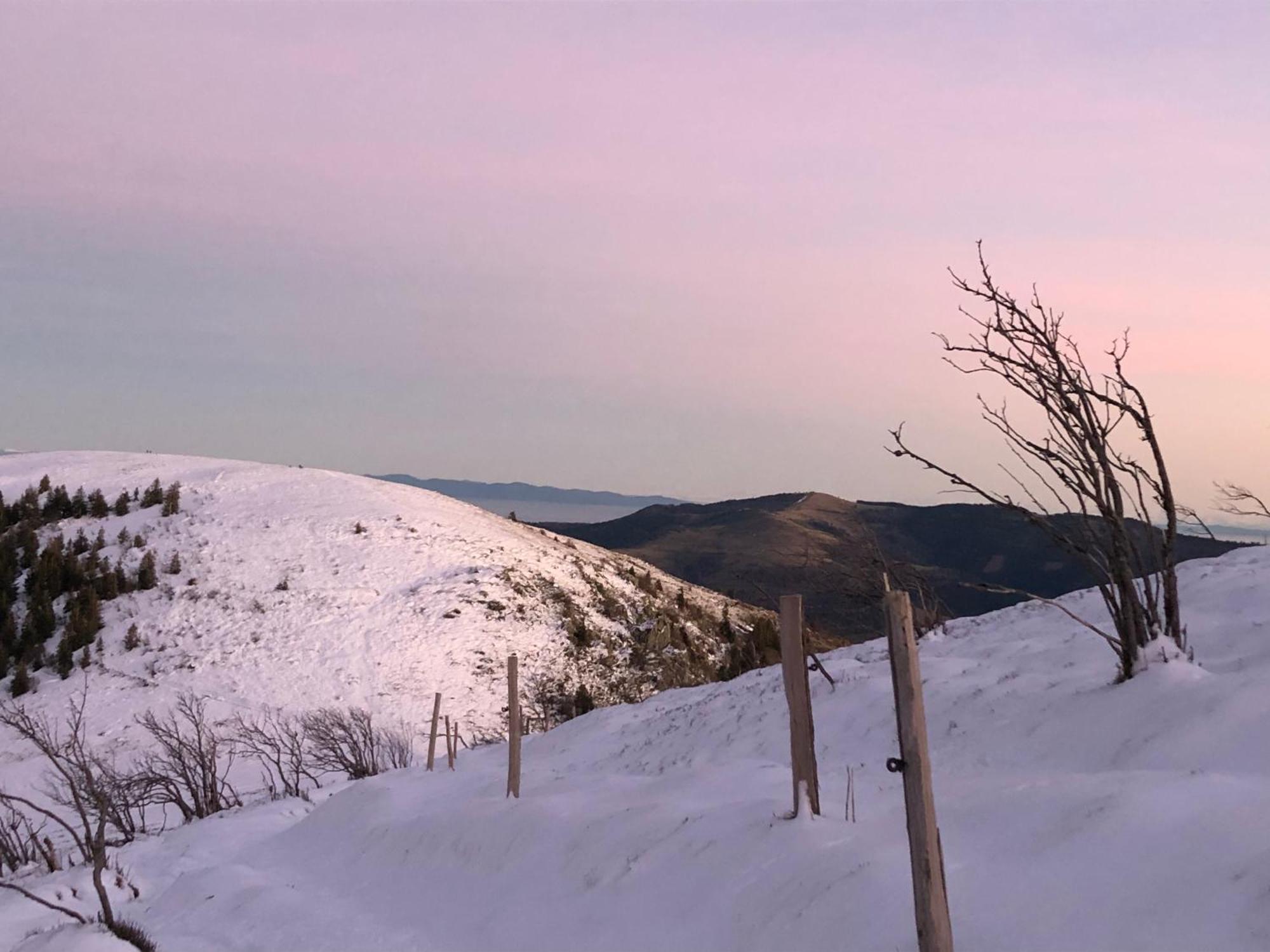 Duplex - Proche De Gerardmer ル・トリー エクステリア 写真
