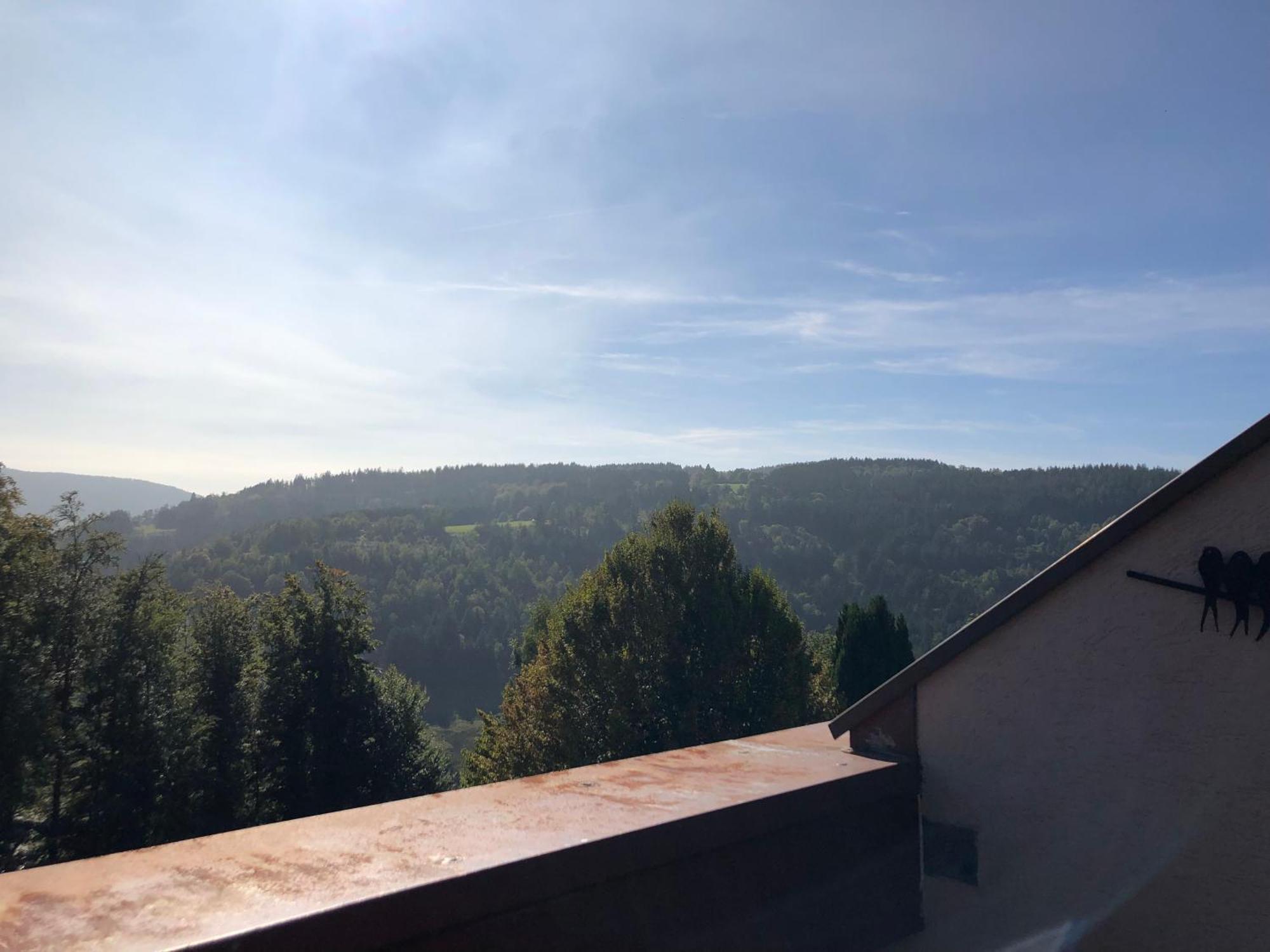 Duplex - Proche De Gerardmer ル・トリー エクステリア 写真