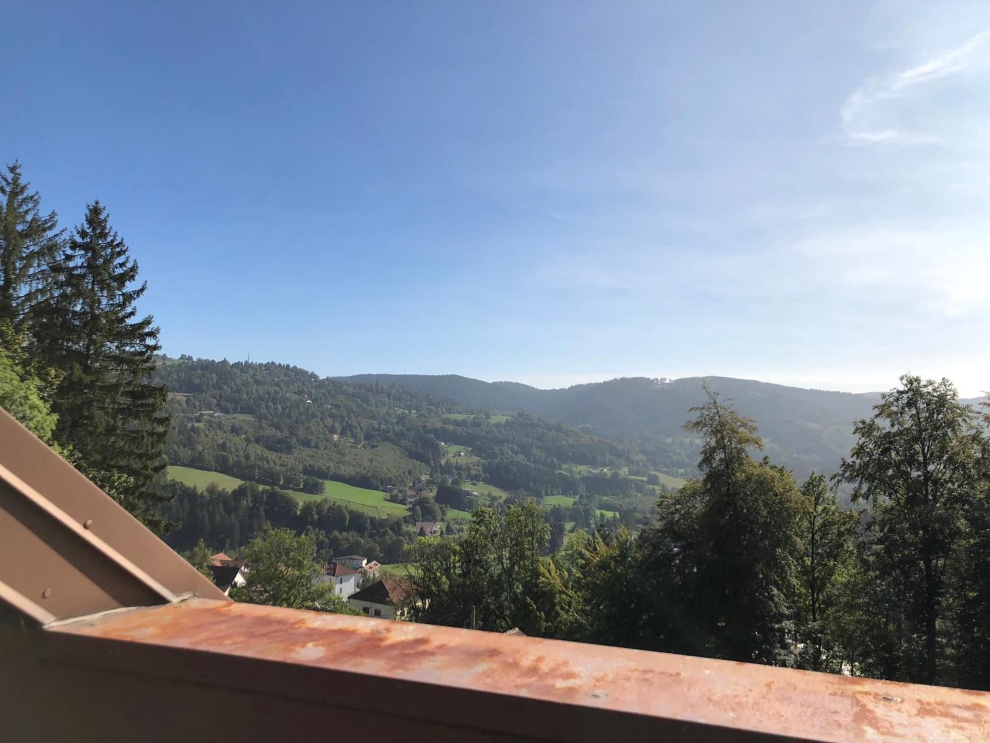 Duplex - Proche De Gerardmer ル・トリー エクステリア 写真